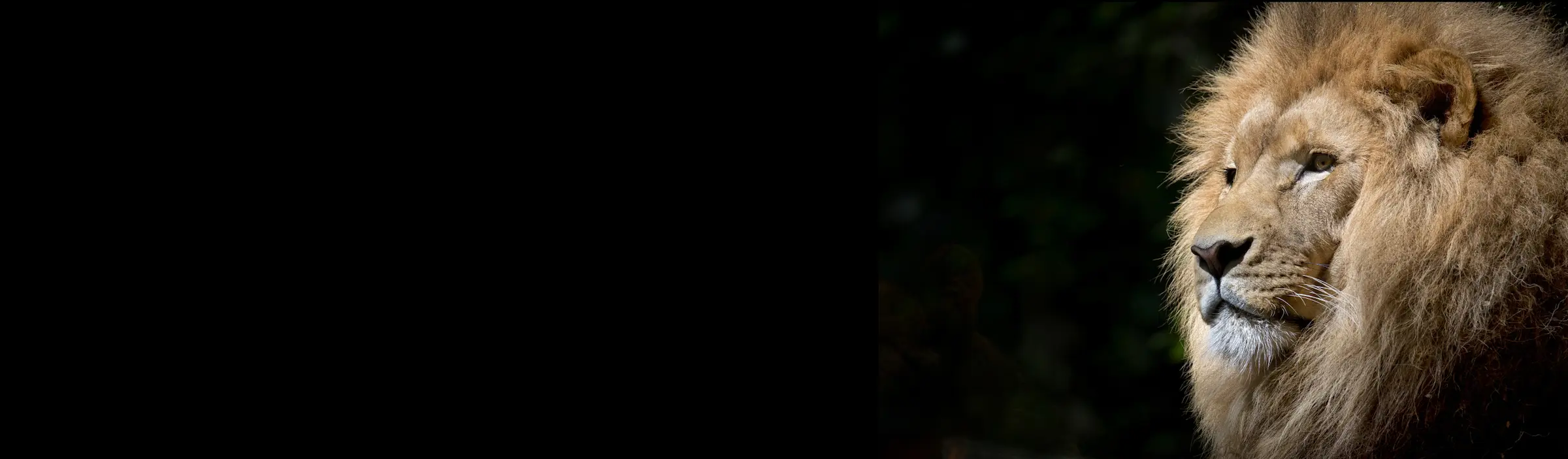 a black background with a black border