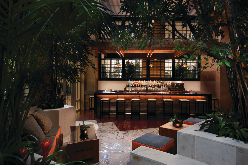 a room with a bar and a plant