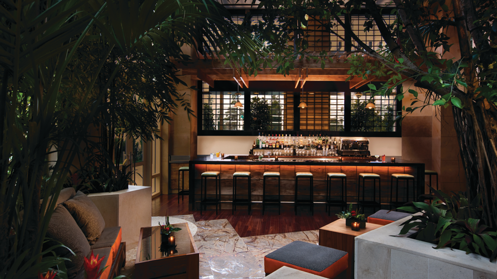 a room with a bar and a plant