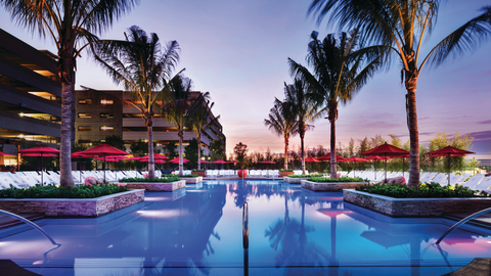 a pool with palm trees and umbrellas