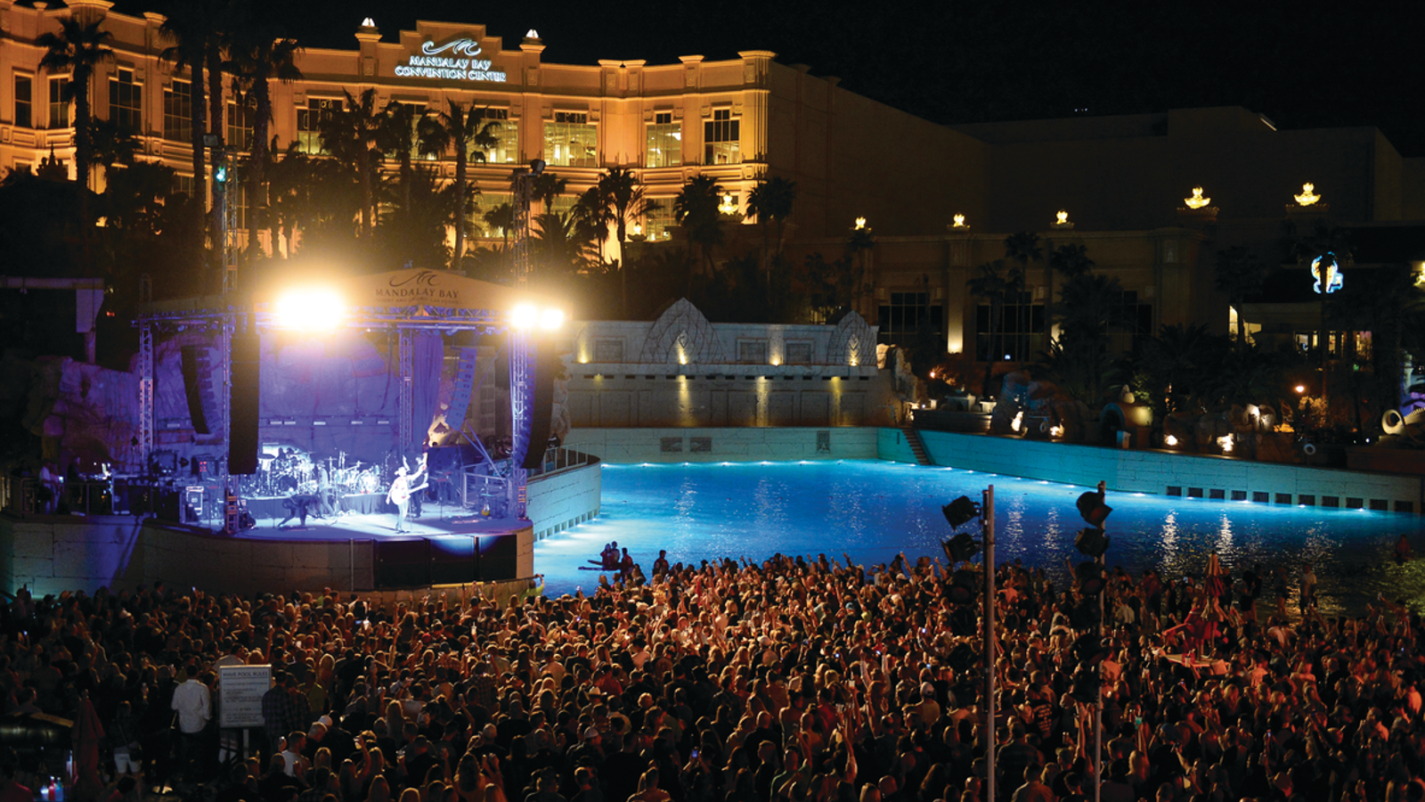 a large crowd of people at a concert